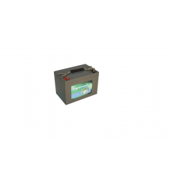 DGY12-60EV BATTERIE VRLA...