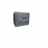 DGY12-135EV BATTERIE VRLA GEL DYNO 12V 162AH/C20 CYCLIQUE