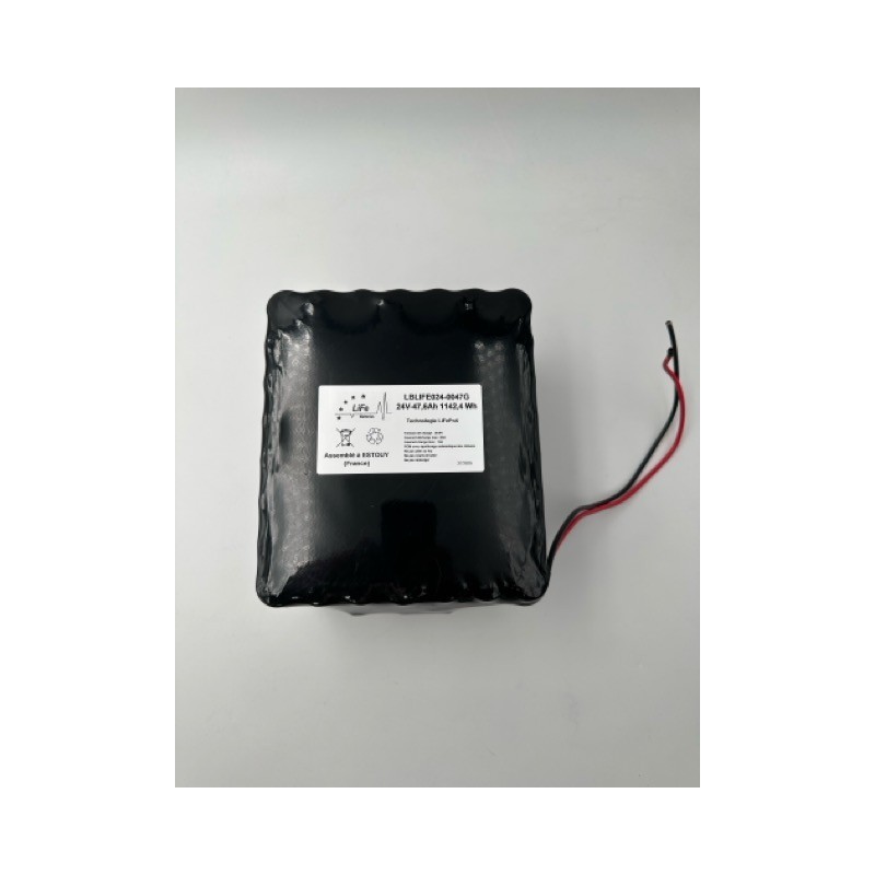 Batterie LiFePO4 24V 47.6Ah sous gaine avec PCM 20A