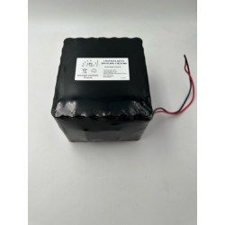 Batterie LiFePO4 24V 47.6Ah sous gaine avec PCM 20A