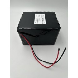Batterie LiFePO4 24V 47.6Ah sous gaine avec PCM 20A